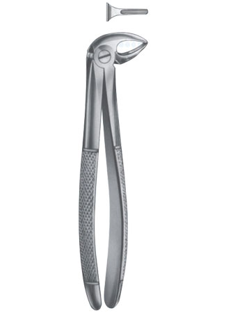 Extracting Forceps – English Pattern