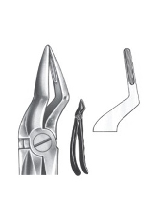 Extracting Forceps – English Pattern