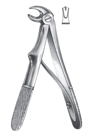 Extracting Forceps – English Pattern