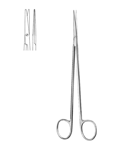 Delicate Dissecting Scissors