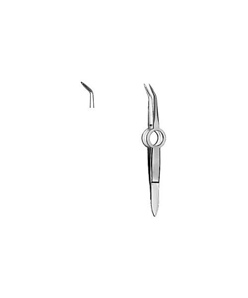 Splinter Forceps