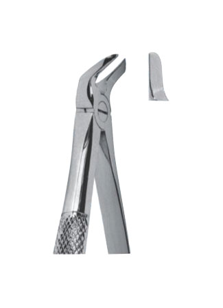 Extracting Forceps – English Pattern