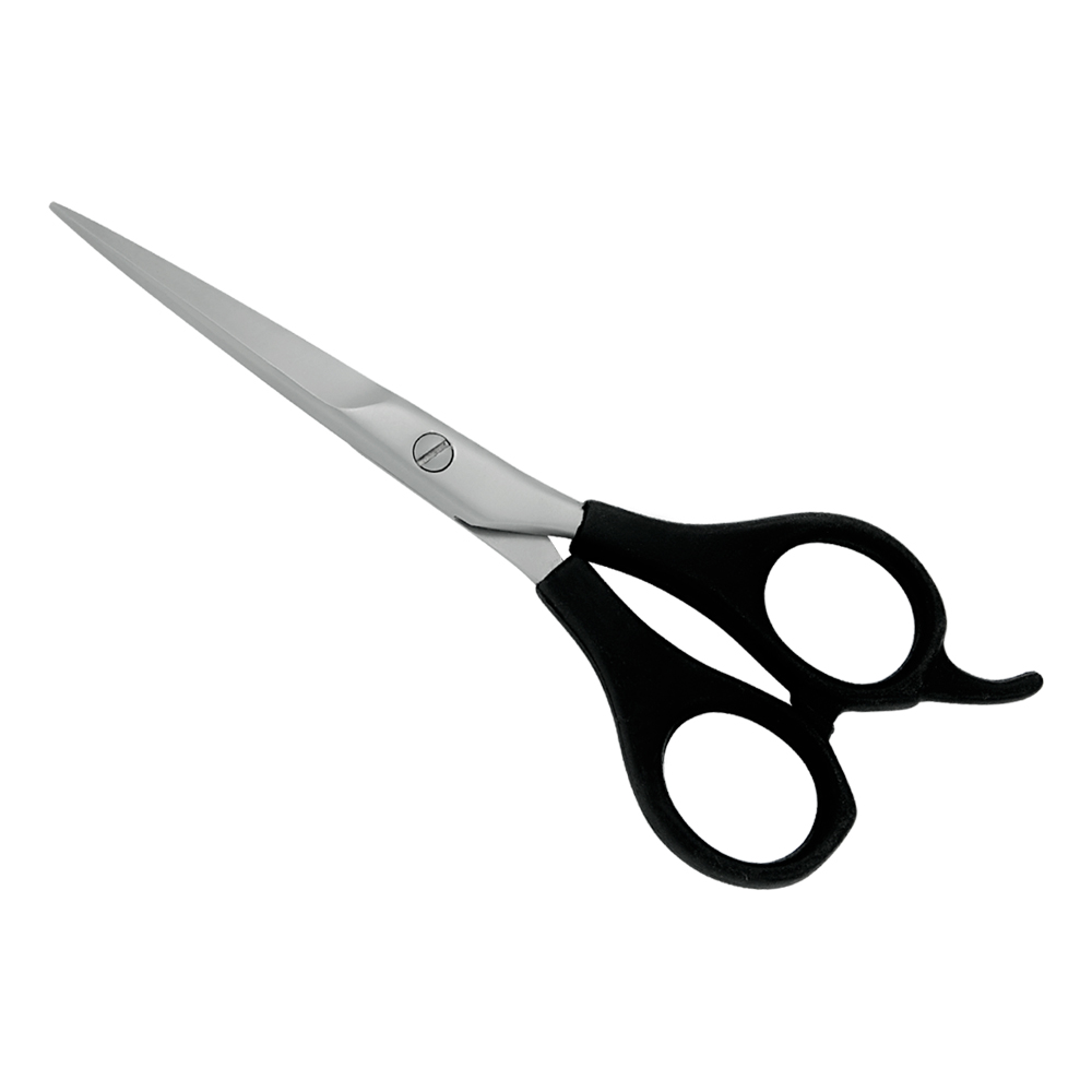 Plastic Handle Scissors