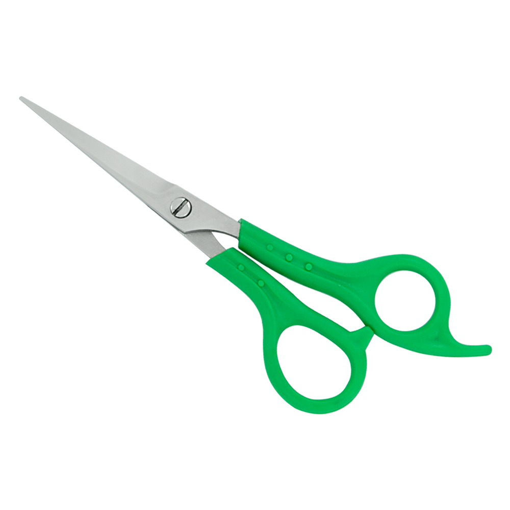 Plastic Handle Scissors