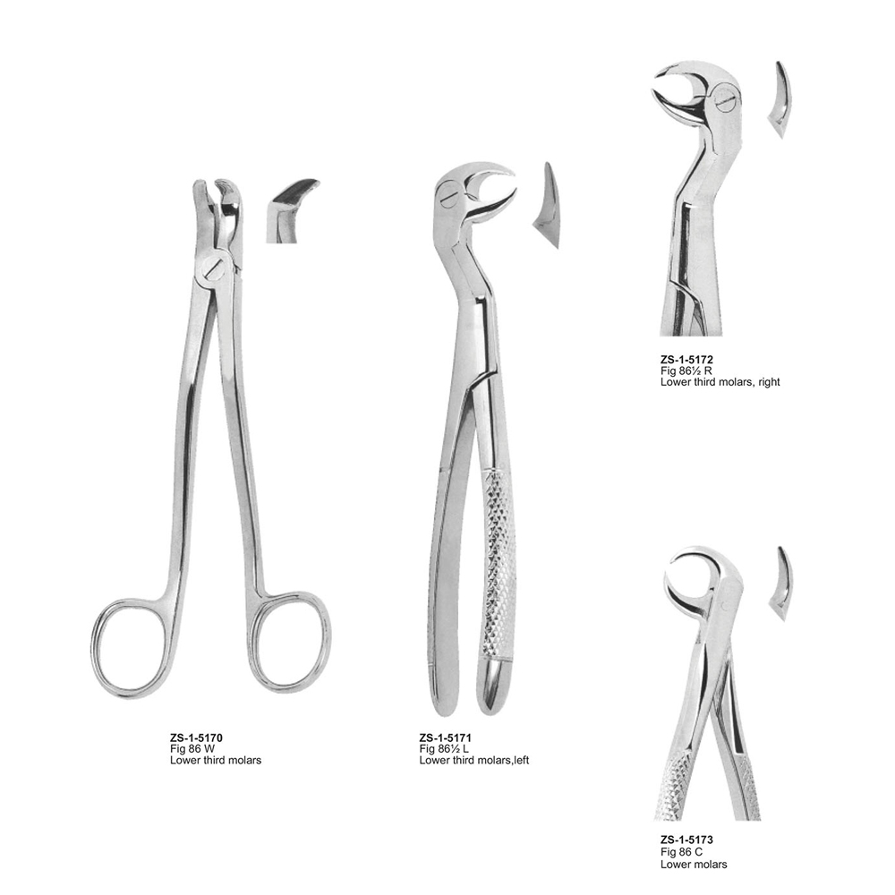 Extracting Forceps