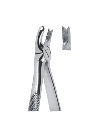 Extracting Forceps – English Pattern