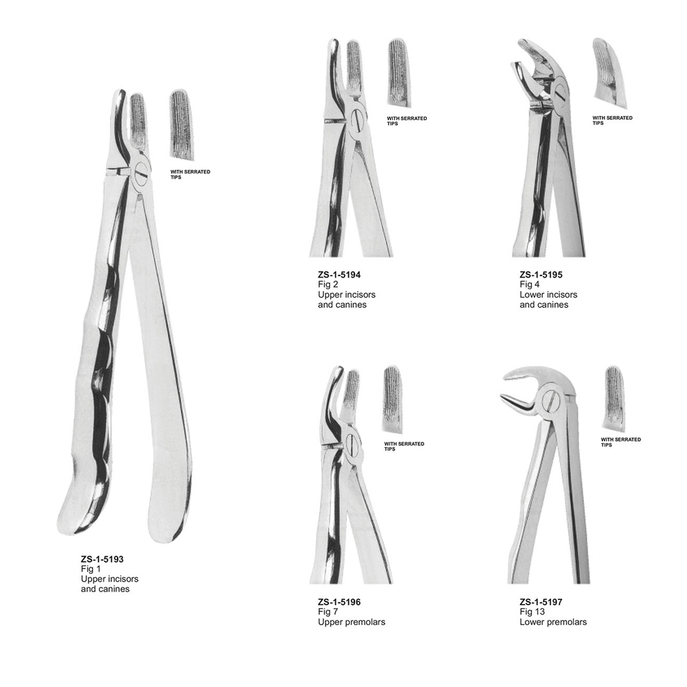 Extracting Forceps