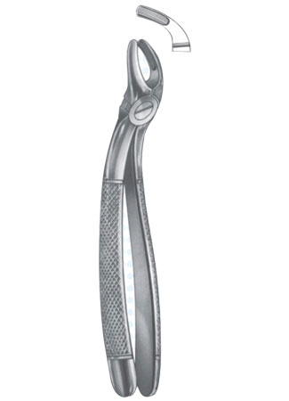 Extracting Forceps – English Pattern