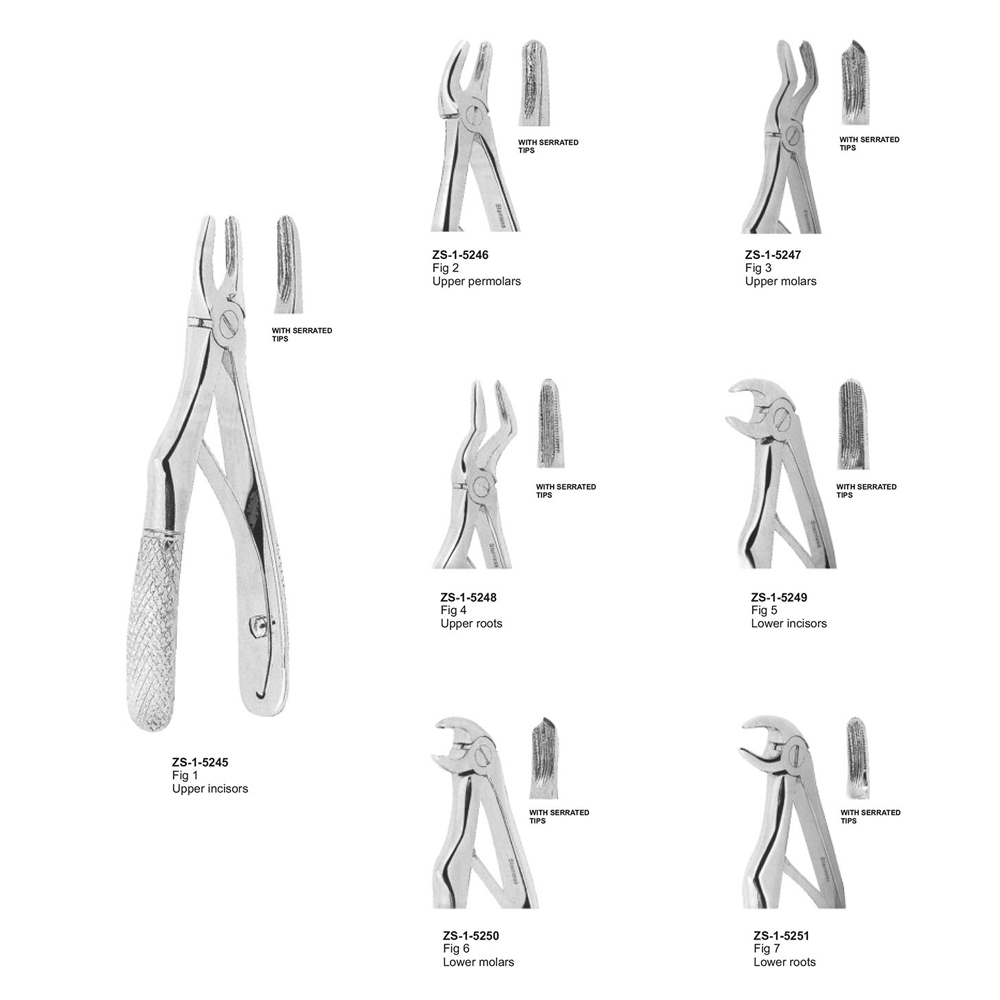 Extracting Forceps