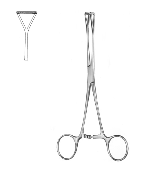 Intestinal and Tissue Grasping Forceps