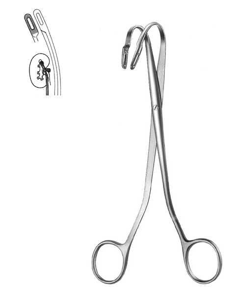 Kidney Stone Forceps