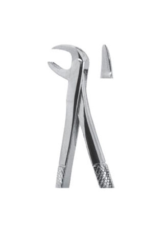 Extracting Forceps – English Pattern