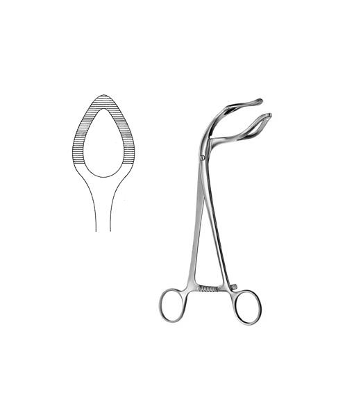 Uterine Seizing Forceps