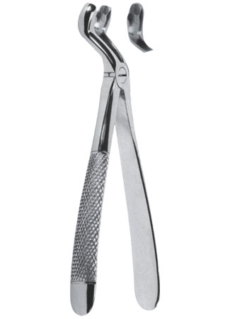 Extracting Forceps – English Pattern