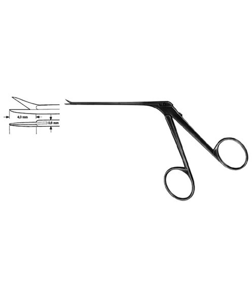 Micro Ear Scissors