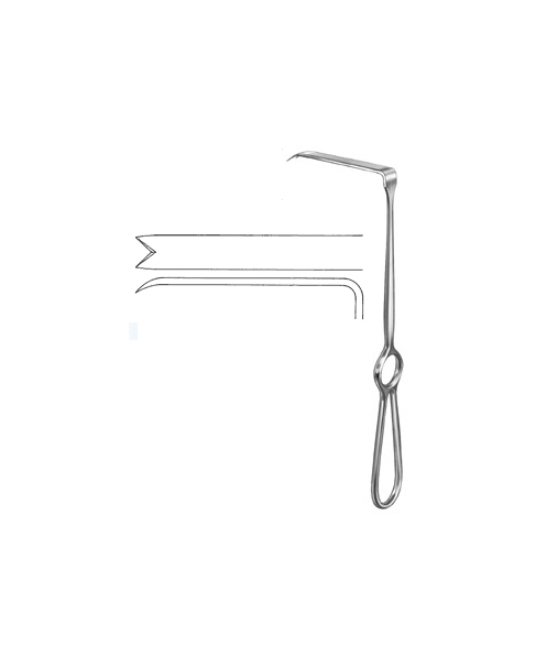 Ramus Retractor