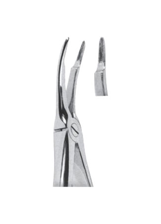 Extracting Forceps – English Pattern