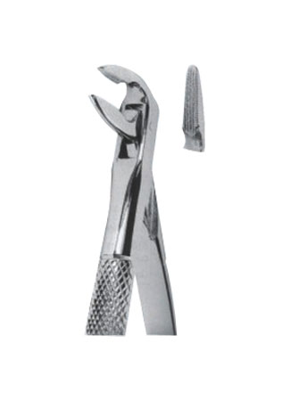 Extracting Forceps – English Pattern